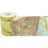 Teacher Created Resources Travel the Map Straight Rolled Border Trim, 50 Feet Per Roll, PK3 TCR8921